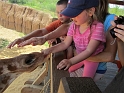 Kids_NancyVisit_DZoo (7)
